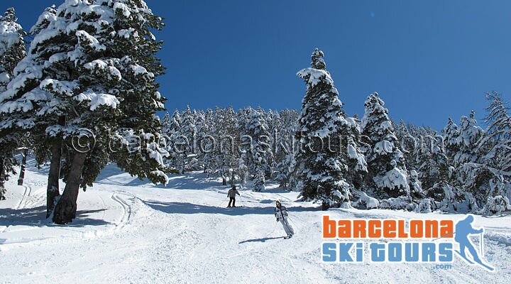 Masella pistes with morning sun