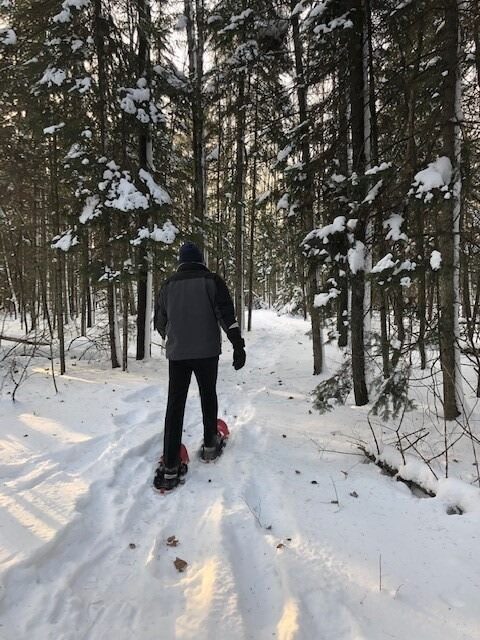 Snowshoe tracks through a snow-covered pine forest in the Pyrenees